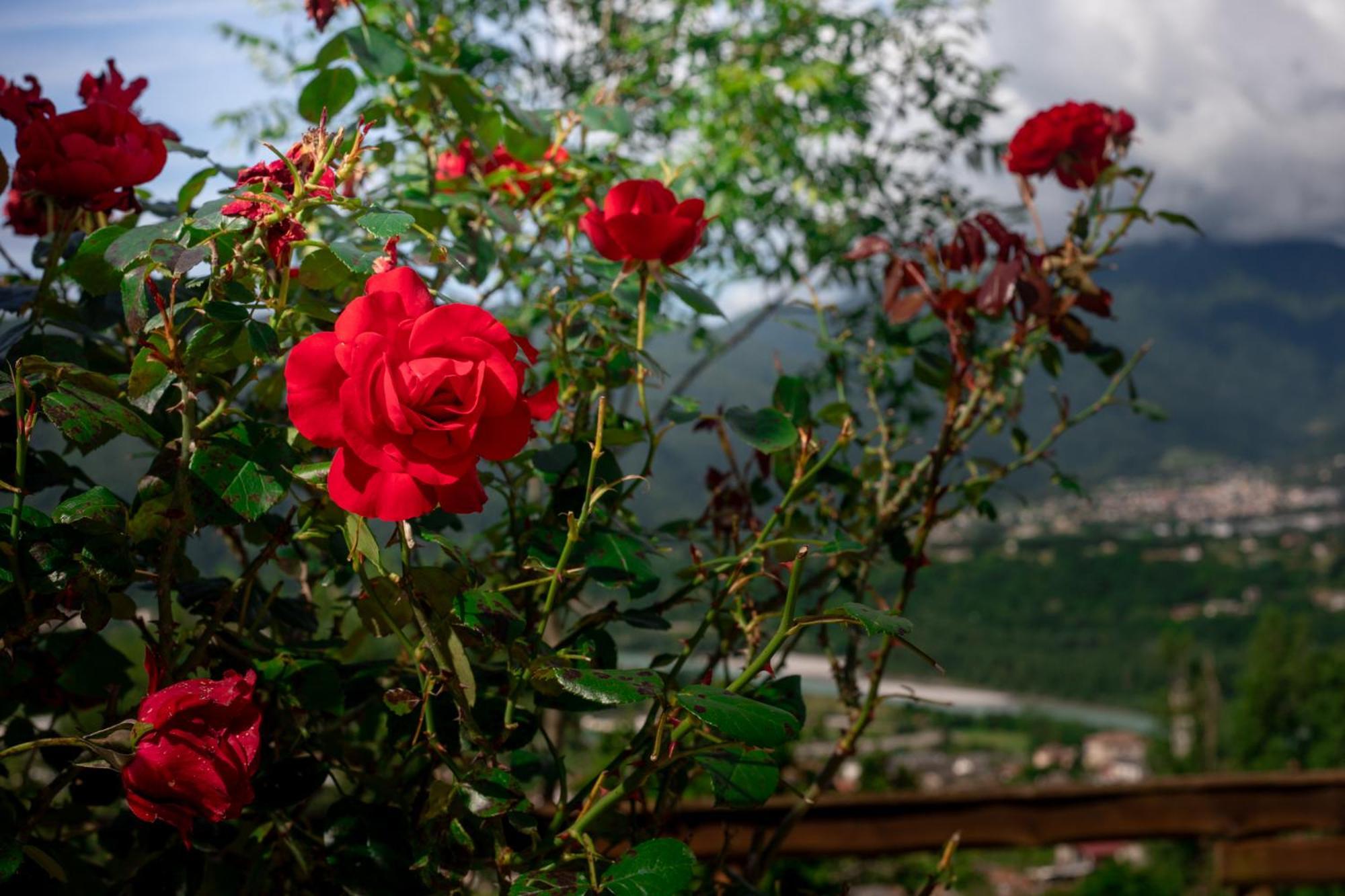 Agriturismo Riva Dei Coz Sequsino Buitenkant foto